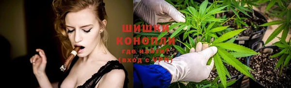 стафф Дмитров