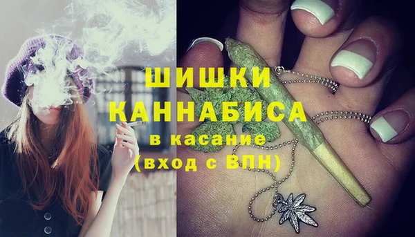 стафф Дмитров