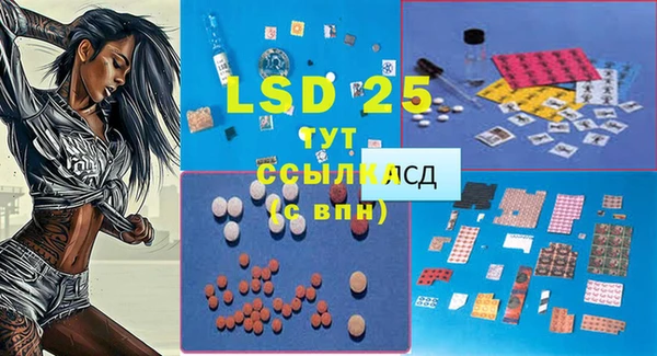крисы Дмитриев