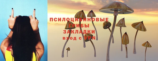 стафф Дмитров