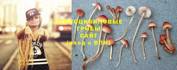 стафф Дмитров