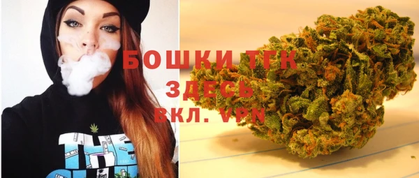 крисы Дмитриев