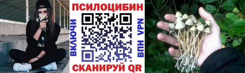 Купить где  Киржач  Галлюциногенные грибы GOLDEN TEACHER 